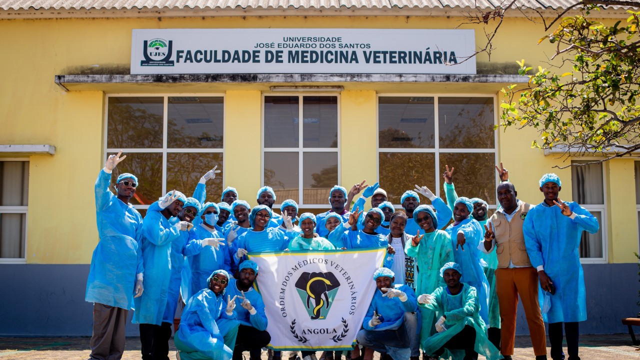 FACULDADE DE MEDICINA VETERINÁRIA DA UJES ACOLHE FORMAÇÃO PRÁTICA SOBRE CASTRAÇÃO DE FELINOS